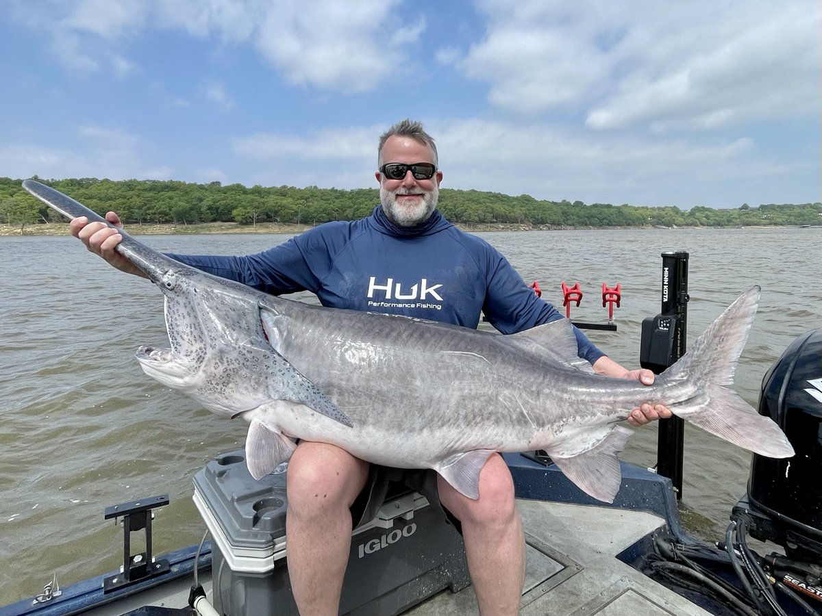 DannyBoy1968's tweet photo. Catch O' the Day goes to Jason Schall with his 124 pounder! Keystone Lake, Oklahoma. #paddlefish #KeystoneLake #Oklahoma https://t.co/b9CHbzE26J
