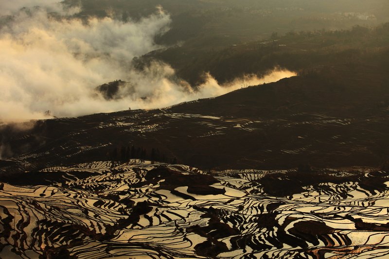 Yuanyang (元阳) is a County located in Honghe Prefecture in southeastern Yunnan province, China, along the Honghe River. Yuanyang is well known for its spectacular rice terraces. The famous Yuanyang rice terraces actually are just a small part of the Honghe Hani rice terraces.
