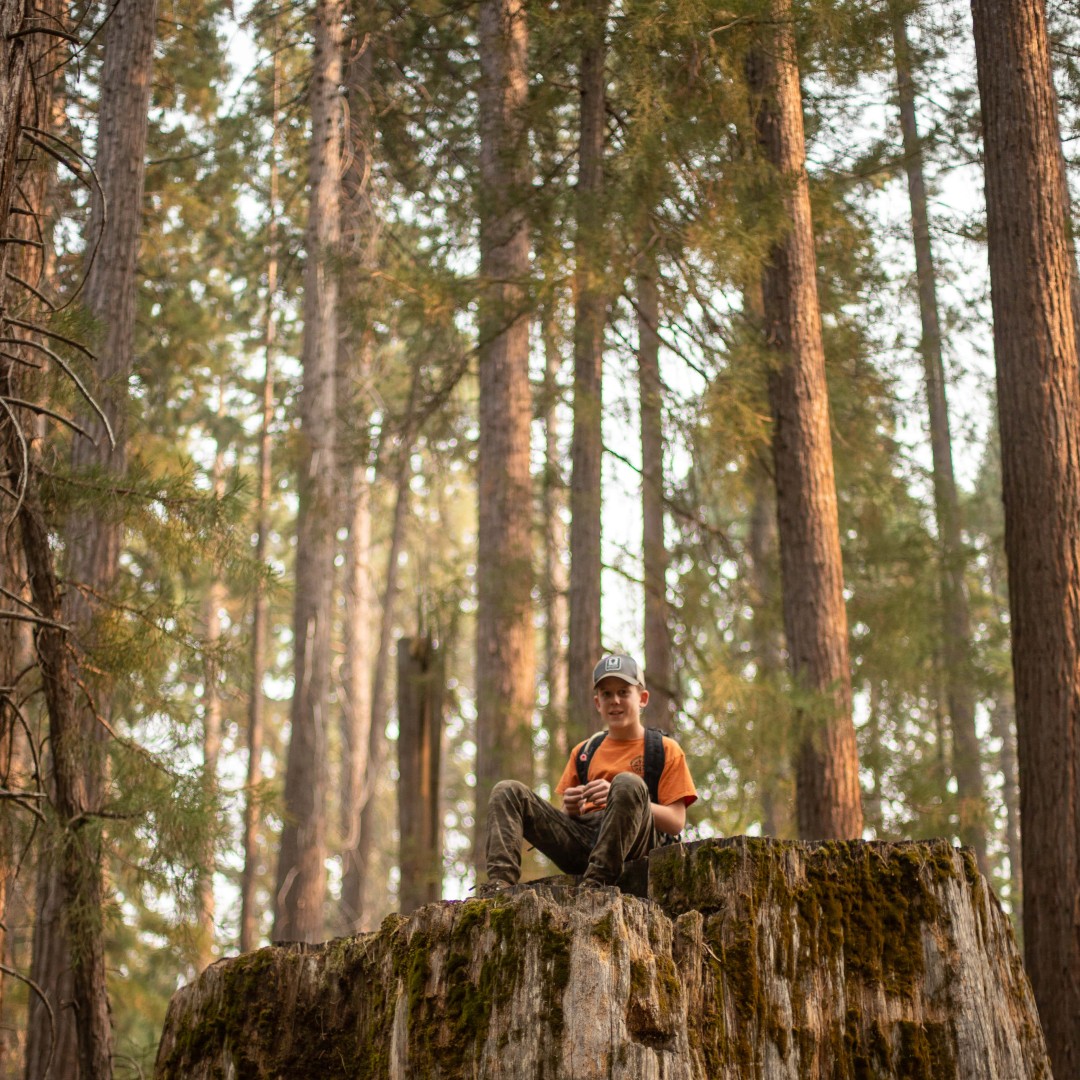 YosemiteClean's tweet photo. Our choices today will together form the world generations to come will enjoy. Let's keep it beautiful. 

#stumptopump #greenhydrogen #biofuels #cleanenergy #zeroemission #carbonnegative #forestmanagement #sustainability https://t.co/x07Q23cfbg