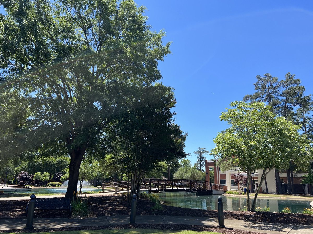 JoannaHersey's tweet photo. Campus looking lovely as the second day of exams comes to a close. Stay strong everyone! #SpringSemester2022 #BraveNation #FinalsWeek https://t.co/ORGc2IHtiq
