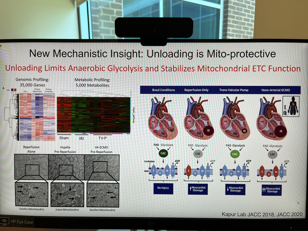 ShashankSinhaMD's tweet photo. What an honor & privilege to host @NavinKapur4 @TuftsMedicalCtr today @IHVInews as virtual visiting prof! Thx 4 sharing pearls of wisdom on #LVunloading #mitoprotection #STEMIDTU & more! Learned new cool word, too: perspicacity! @coconnormd @DrNasrien @agtruesdell @behnam_tehrani https://t.co/3pVFdVAC9c