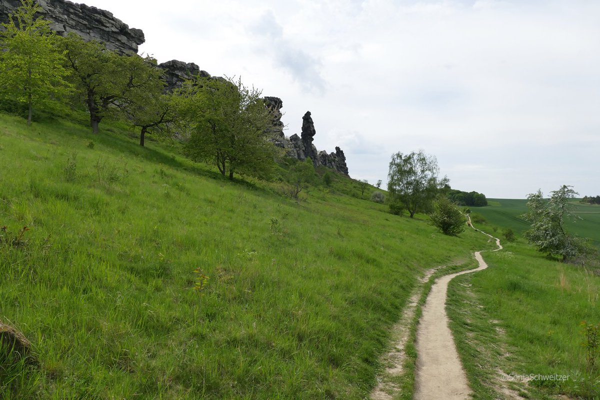 HessenSonja5767's tweet photo. An der Teufelsmauer............... #Ausflugsziel #Ausflugstipp #Teufelsmauer #Felsformation #Harzklippen #Weddersleben #Blankenburg #Ballenstedt #Harz #SachsenAnhalt #Germany https://t.co/PpTC2VkVoO