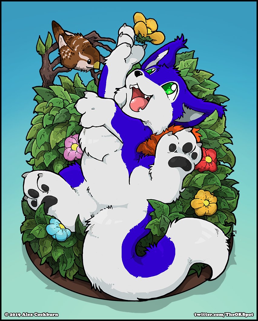 thefoxywriter's tweet photo. @YinKitten @SprocketDragon https://t.co/y5EJuBtqCN