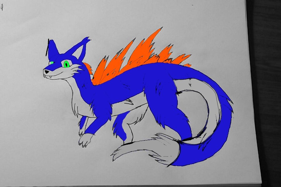thefoxywriter's tweet photo. @YinKitten @SprocketDragon https://t.co/y5EJuBtqCN