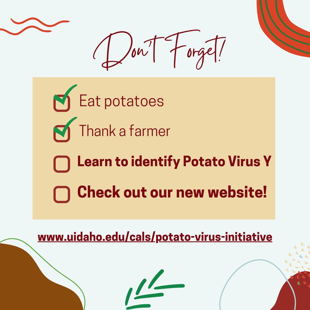 PotatoVirusIni1's tweet photo. Check out the new Potato Virus Initiative website! https://t.co/hIrJ5ajDV7 It has information on the upcoming PVY demonstration field days, virus research highlights, videos related to potato breeding, PVY testing, and seed certification, and much more. #Potatoes #newwebsite #pvy https://t.co/gsx71AzhuX