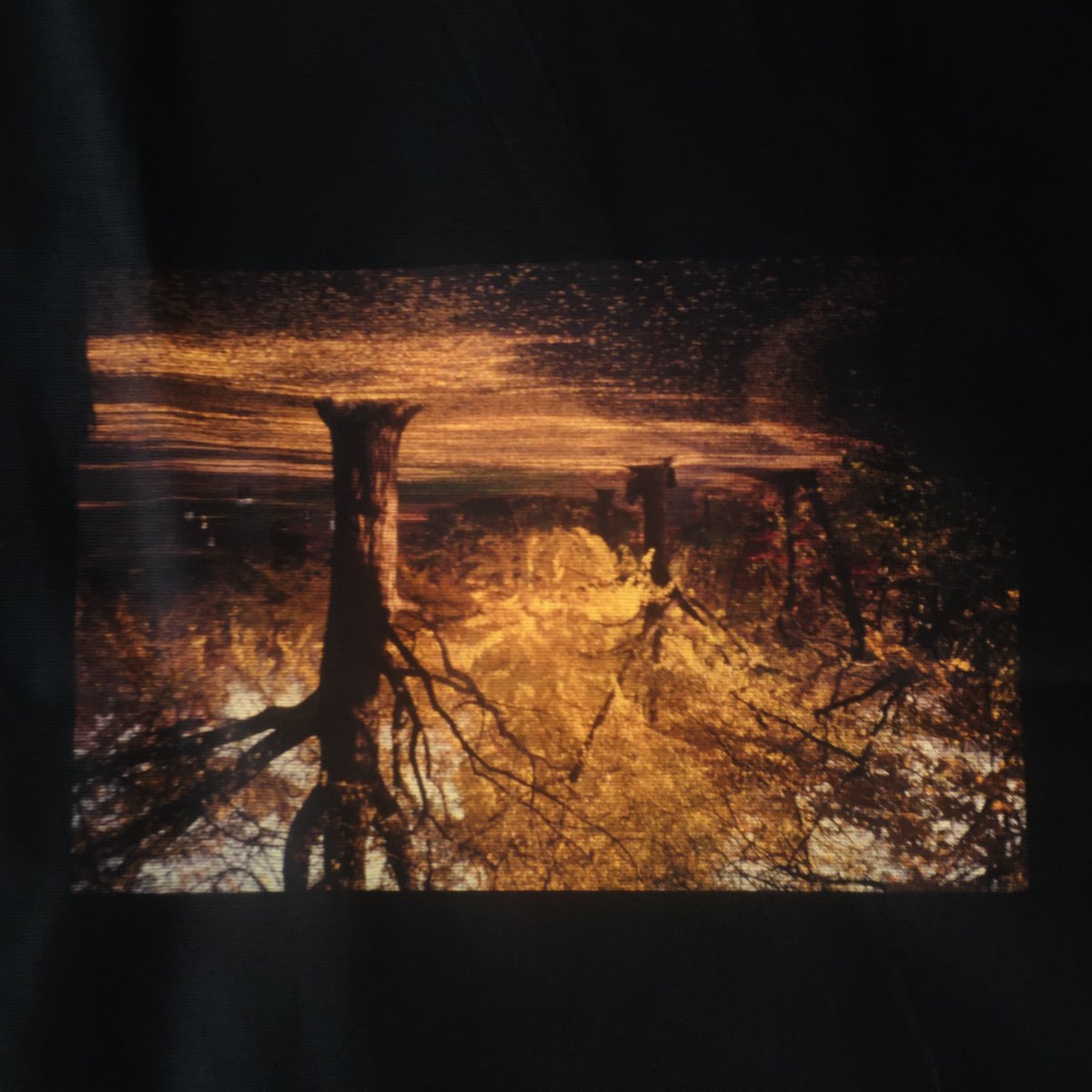 Are photographs in the real world the same when they are converted to NFTs? Nothing changes? why virtual walls? #NFT #nftphotography #NFTCommuntiy