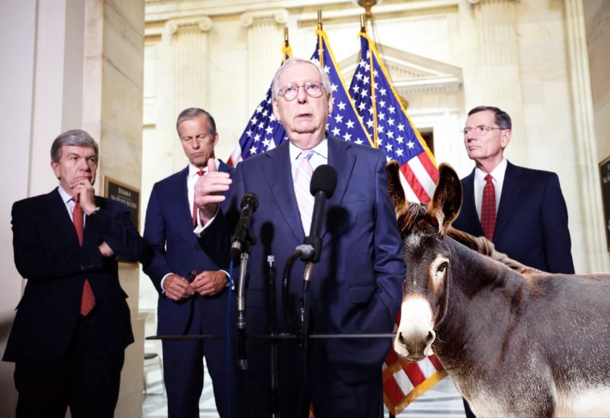 🐴There’s an elephant/𝙈𝙐𝙇𝙀 in the room at the <a href="/GOP/">GOP</a>, <a href="/FoxNews/">Fox News</a>, and in the halls of Congress @GOPLeader. 
✨It’s okay though, carry on about all the other topics more important than “consent of the governed…” 
#2000Mules #TrueTheVote #GOP #Republicans #BallotHarvesting #TTV