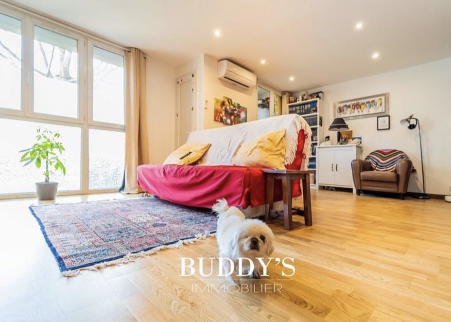 LeosAnimalPlan1's tweet image. This French real estate agency in Marseille has just started working with their local #petrescue to include animals in need of adoption in the photos of his properties. Many 🐶and 😺 have already been adopted! What a great initiative! 💚💙#adoptablepets #adoptdontshop #pets #dogs