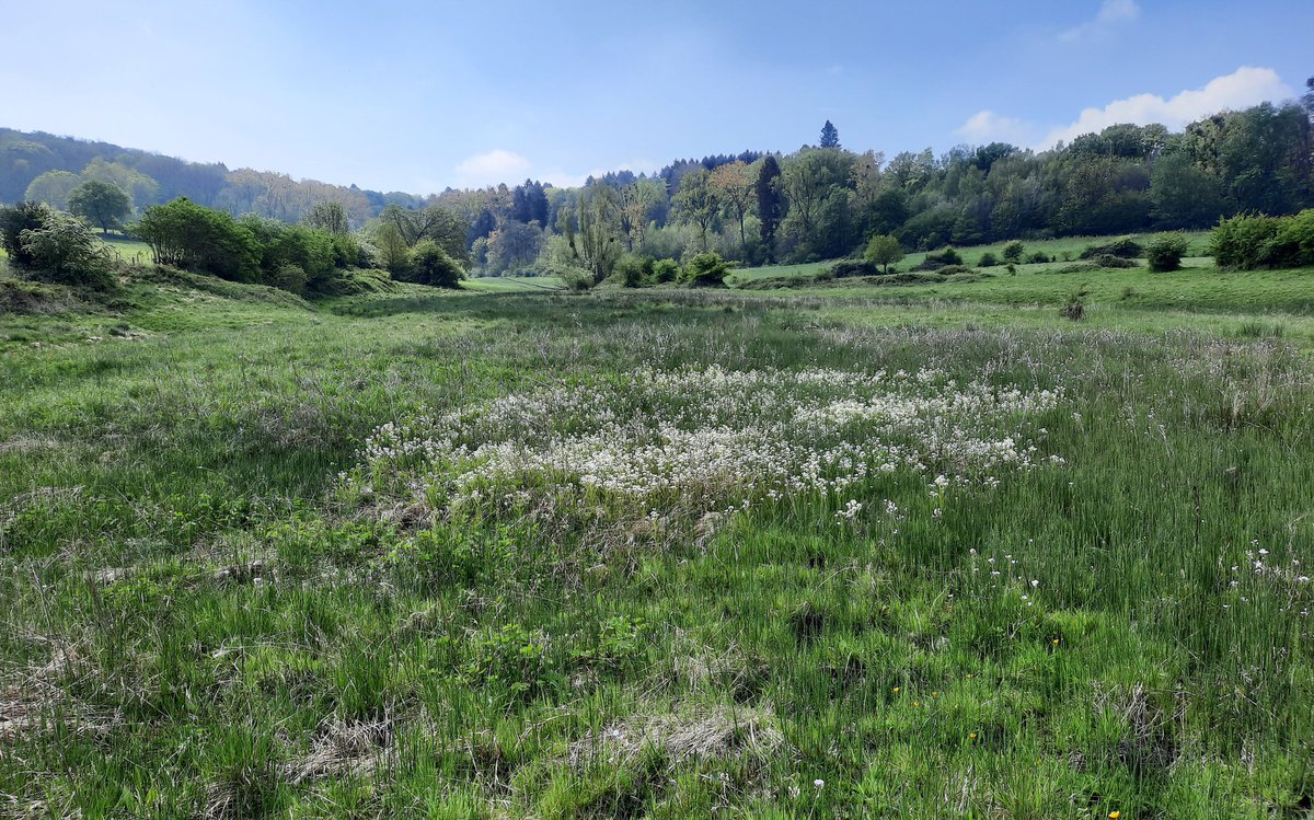 ARKNatuur's tweet photo. Loop mee met ARK rond Wolfhaag: het laatste nieuws over de natuurontwikkeling, het natuurbeheer, de klimaatmaatregelen en de grote grazers. Zondag 22 mei van 10.00 - 12.30 uur.
Graag opgeven via: https://t.co/mAlBw9Lhrx
#rewilding #natuurexcursie #rewildingnederland https://t.co/wDVAOzifY3