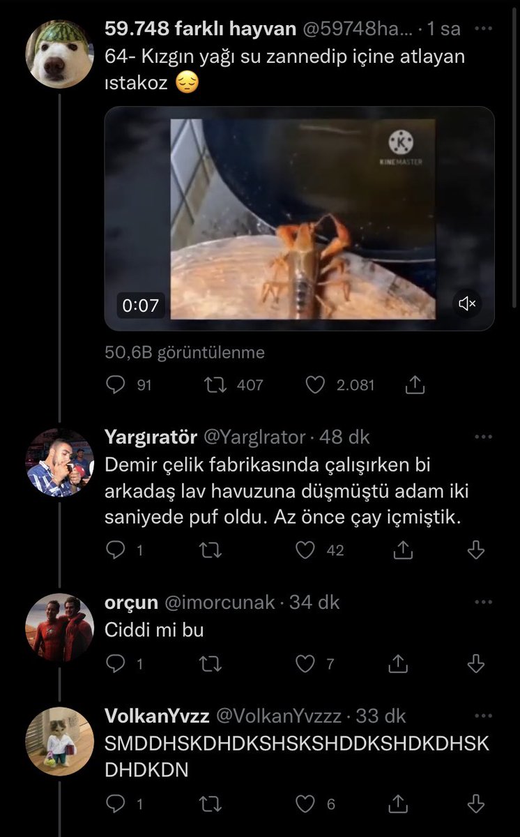 joshdelemans's tweet photo. ben az önce ne okudum https://t.co/wlPjEzmviV