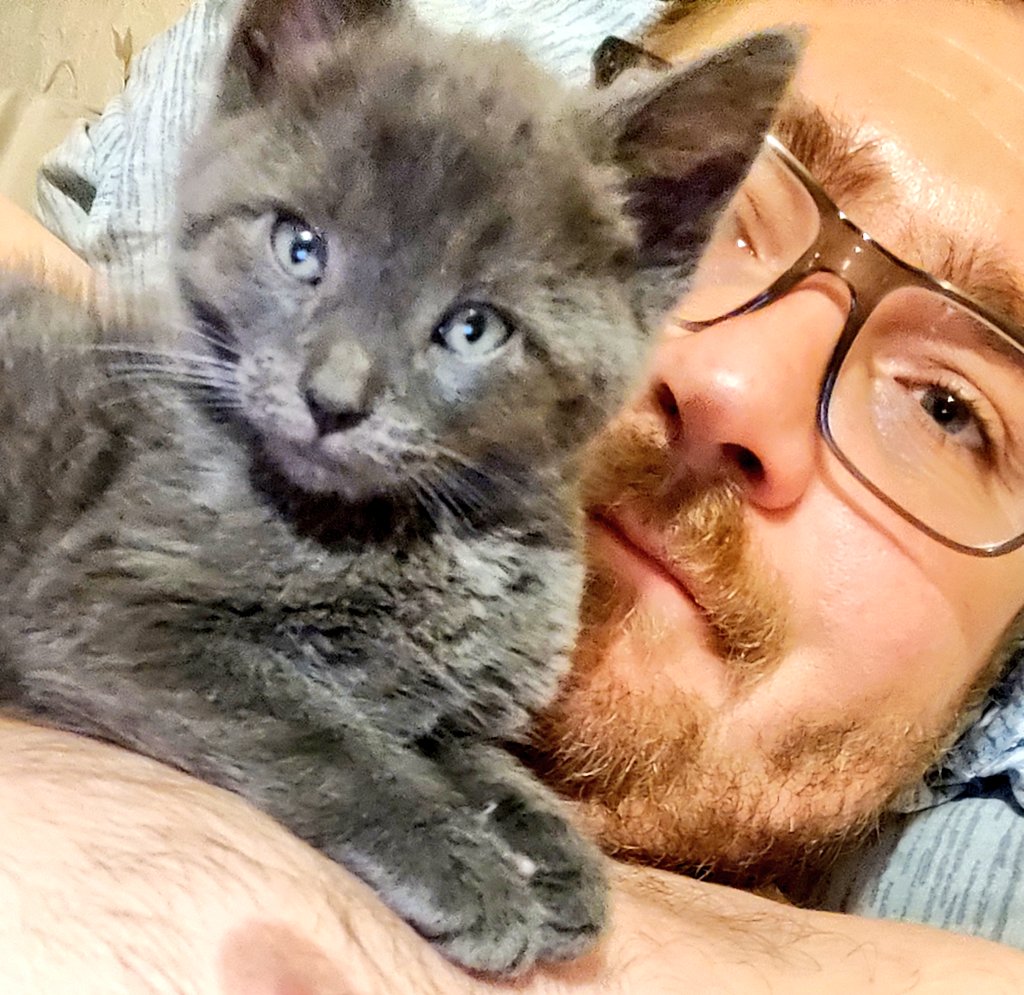 RenaudBoyaval's tweet photo. Mon petit cœur 😻 🥰 #Chat #Chaton #BebeChat https://t.co/XbnmzzKJt6