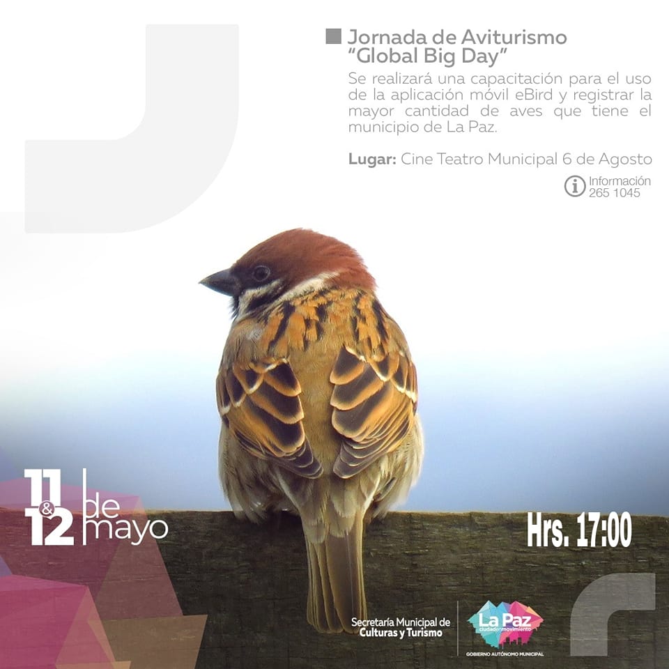 El "Global Big Day" será una jornada de aviturismo que se realizará a través de la app móvil eBird para registrar la mayor cantidad de aves en nuestro municipio. 
La cita es el 11 y 12 de mayo desde las 17:00 en el Cine Teatro Municipal 6 de Agosto.
#LaPazCiudadDelCielo