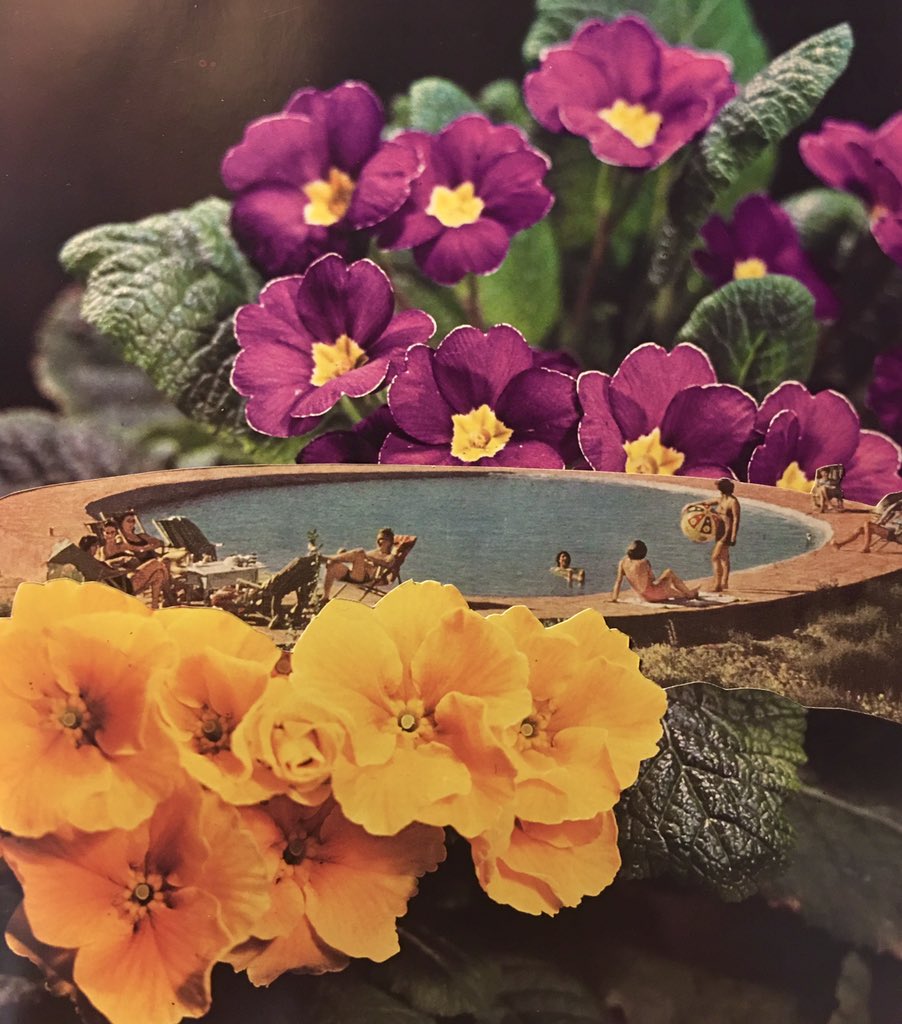 PhibDoesThis's tweet photo. Poolside
paper collage https://t.co/9oLhWGUyFt
