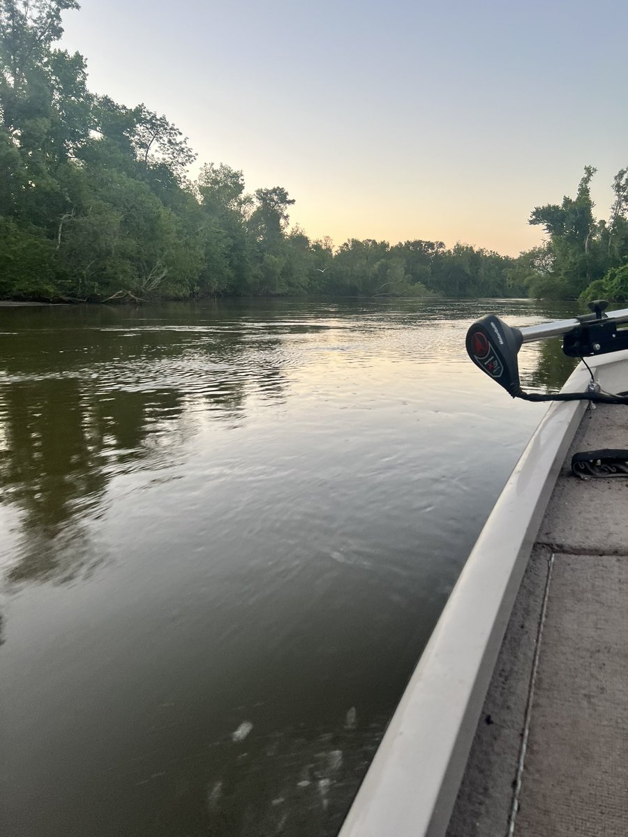 Michael79124923's tweet photo. Went out on the river and catch some fish๐๐ฃ๐ #brim #shellcracker #Catfish #outintheriver #fishing https://t.co/rpGRXPKyc2