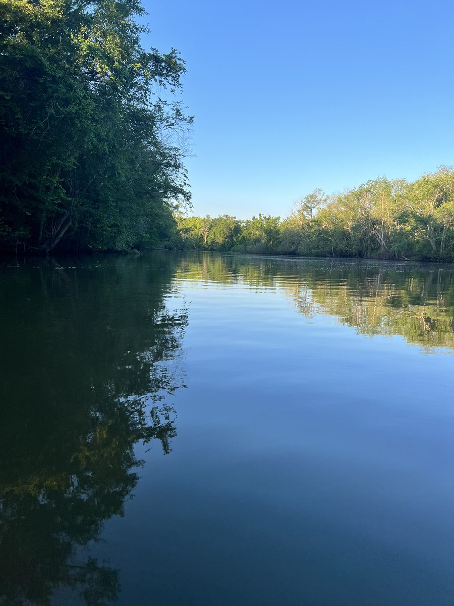 Michael79124923's tweet photo. Went out on the river and catch some fish๐๐ฃ๐ #brim #shellcracker #Catfish #outintheriver #fishing https://t.co/rpGRXPKyc2