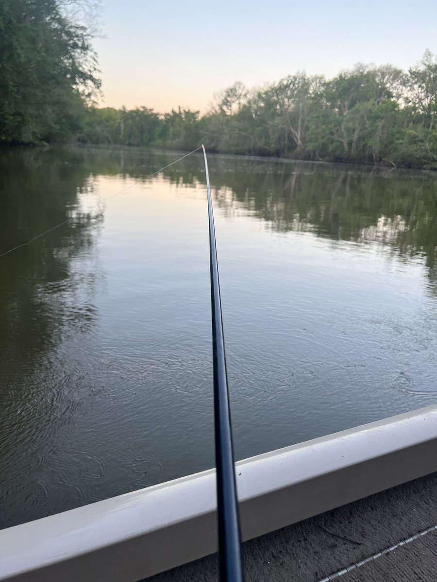 Michael79124923's tweet photo. Went out on the river and catch some fish๐๐ฃ๐ #brim #shellcracker #Catfish #outintheriver #fishing https://t.co/rpGRXPKyc2