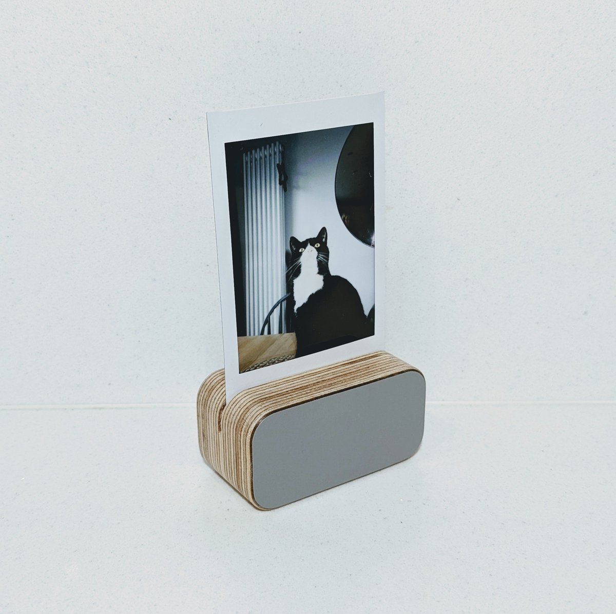 WEAMO_Interiors's tweet photo. BLOCK PHOTO STAND - MINI INSTANT
Featuring Spike the Cat but also great as Wedding Place Card holders, but with names not pictures of cats. That would be one crazy cat filled wedding.
https://t.co/HiJLyrgqb5
#wedding
#Cat
#NAME
#catwedding
#weamo
#ottergrey
#photooftheday https://t.co/QLwaYY7C50