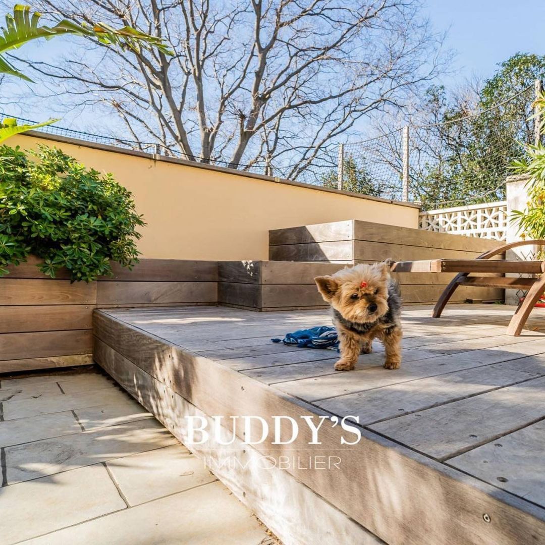 LeosAnimalPlan1's tweet image. This French real estate agency in Marseille has just started working with their local #petrescue to include animals in need of adoption in the photos of his properties. Many 🐶and 😺 have already been adopted! What a great initiative! 💚💙#adoptablepets #adoptdontshop #pets #dogs