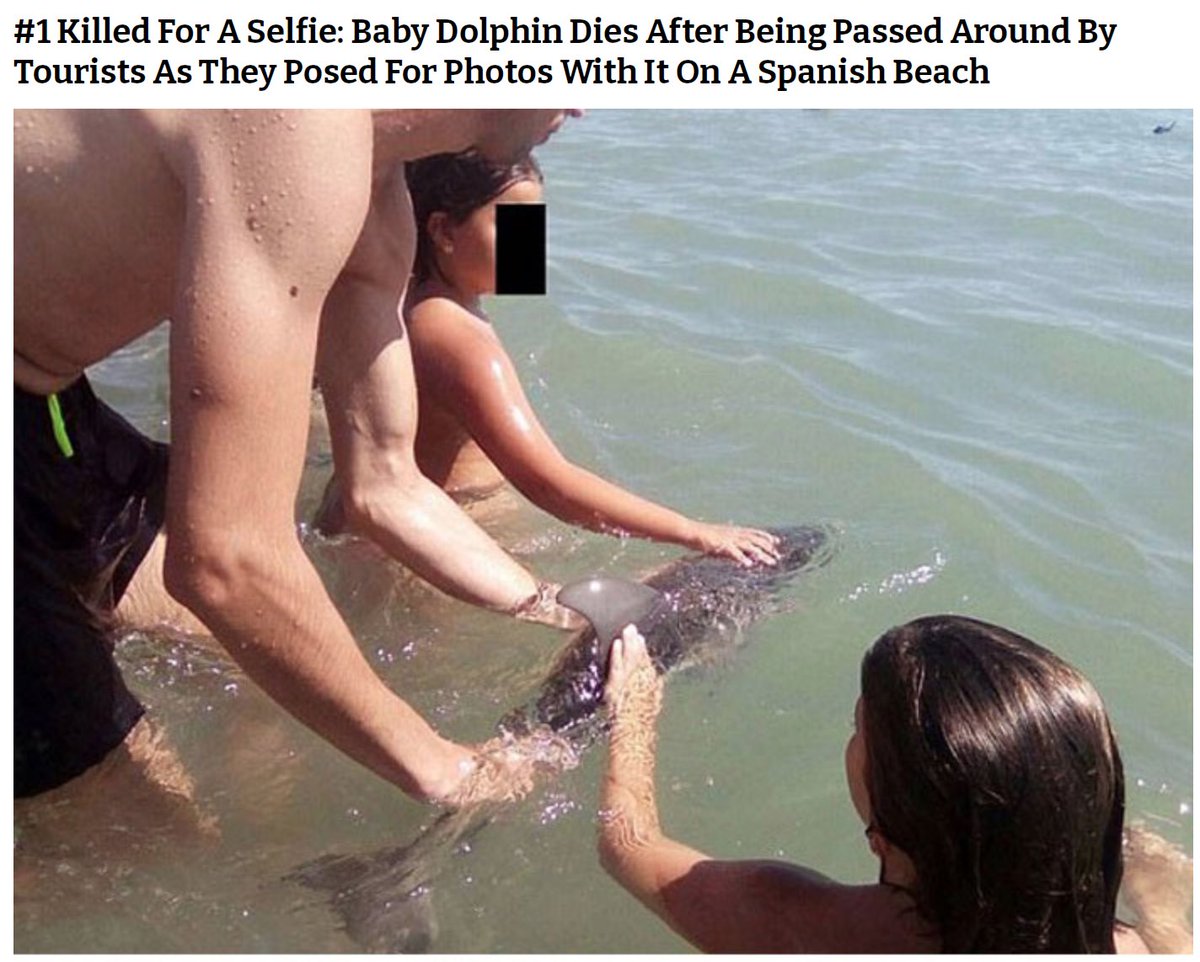 Big reporters doing their important reporter work on the beach. 🤡🤮 
...sad world.
...

#idiot #SelfieTime #selfish #influencer #savetheplanet #dolphin