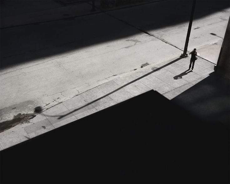 literlandweb1's tweet photo. “Camina lento, no te apresures, que el único lugar a donde tienes que llegar es a ti mismo”.
José Ortega y Gasset
📷Clarissa Bonet https://t.co/8CrGi9BsCM