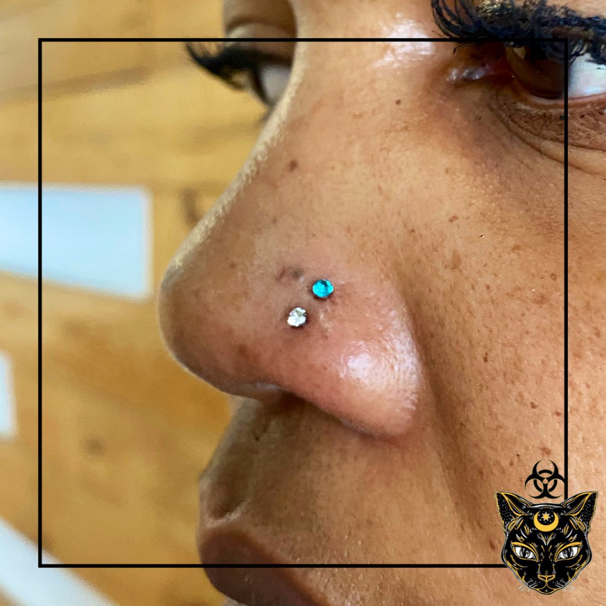 PricksByKitten's tweet photo. ~Stacked Nostril Piercing~

This is by far one of my favourite piercings that I have done so far as a junior piercer. https://t.co/8aWFdo08Qd