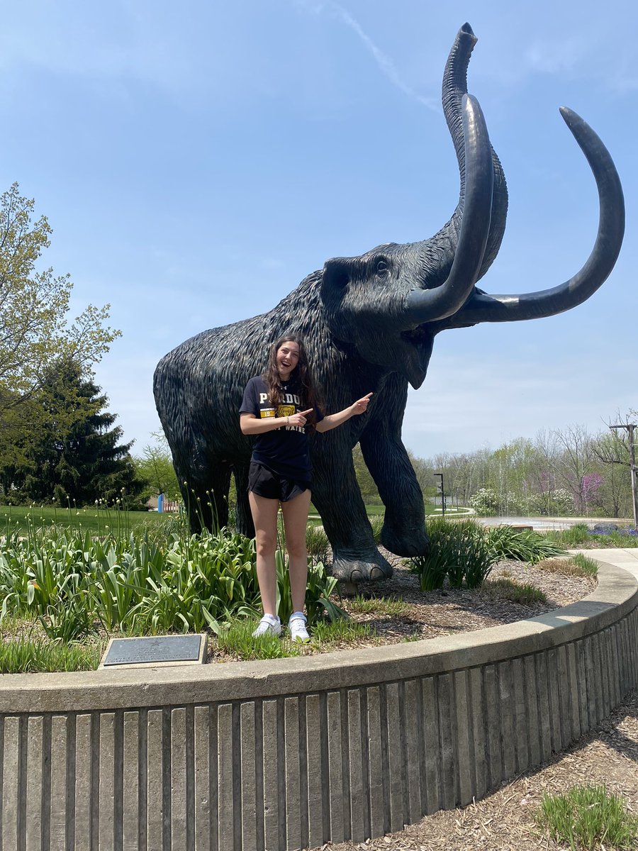 ashbygwillis's tweet photo. I’m committed! I can’t express how excited I am to be playing D1 volleyball at Purdue Fort Wayne. This has been my goal and dream since I was 8 years old and it’s finally here!!! I can’t wait for the next 4 years with the best coaching staff and team!! Go Dons!!! @TAVCRecruiting https://t.co/V0seow2bs1
