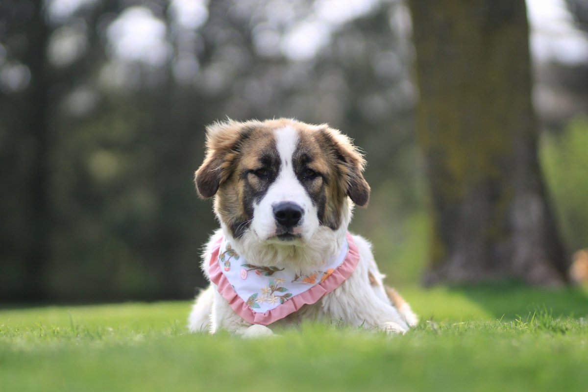 Sunshine & Delilah tweet media