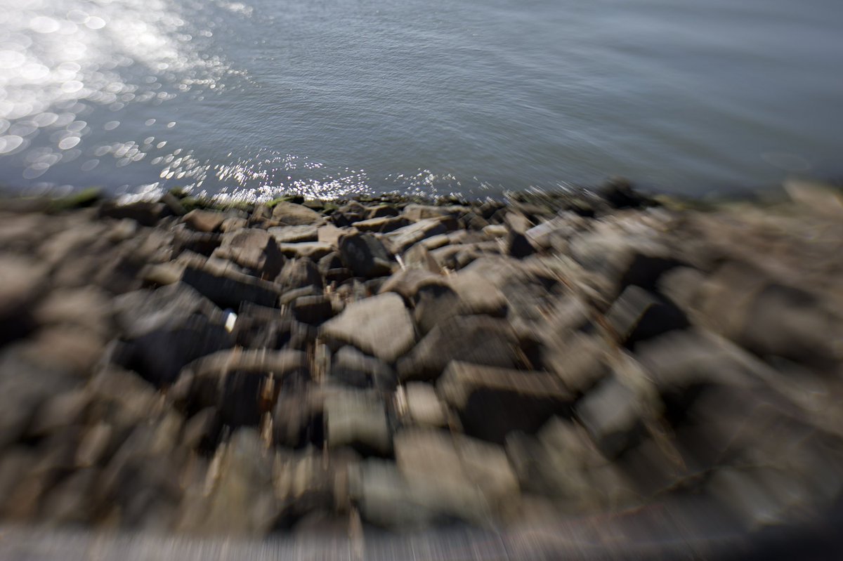 PaulMecca's tweet photo. @CanonUSAimaging #shotoncanon https://t.co/RdgWRqSSNI