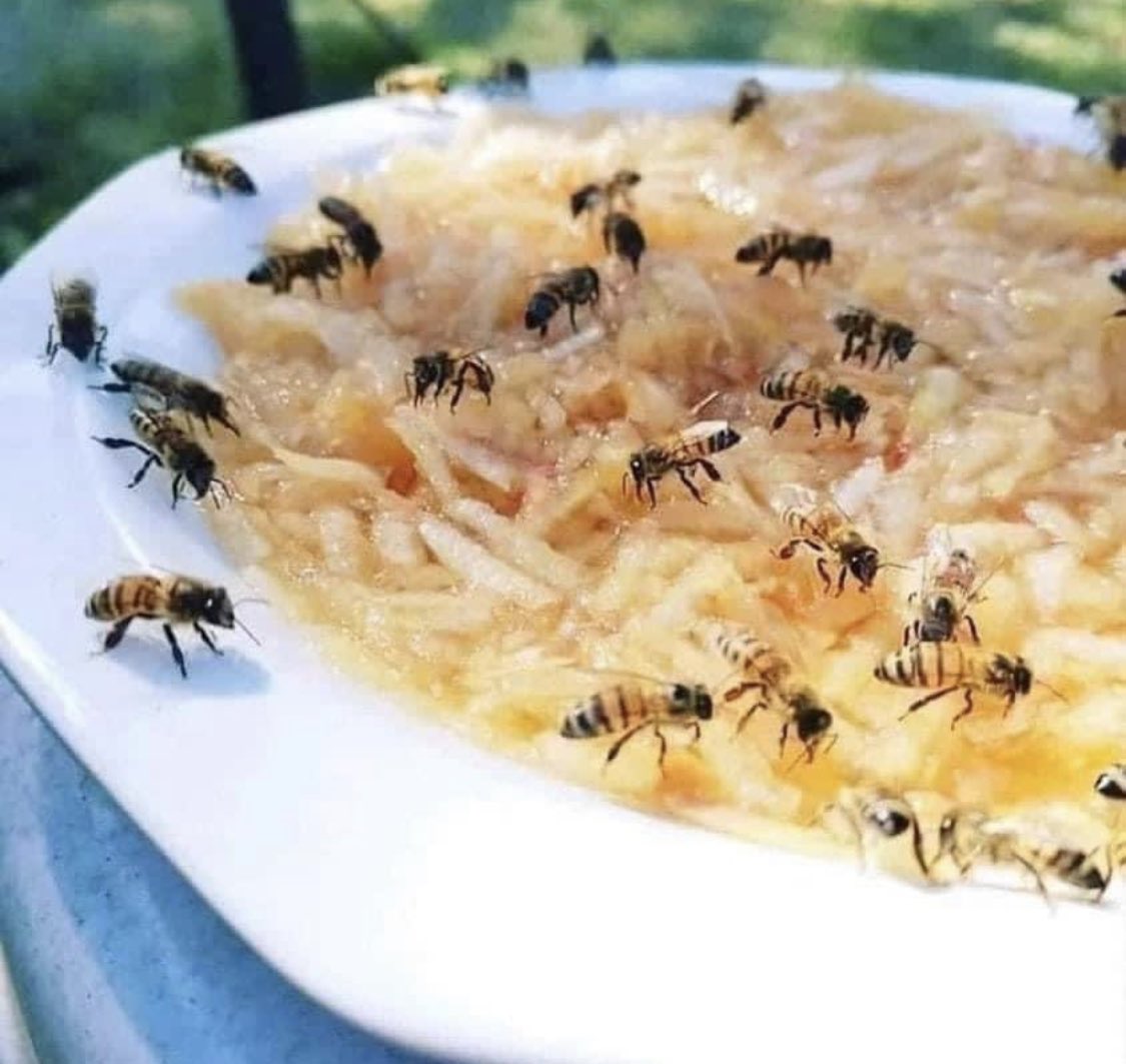 BeeWorldNft's tweet photo. We need to help the bees during the summer months because there are fewer flowers &amp; other food sources for them.
Water is also scarce &amp; so many bees are drowning while trying to drink in the pools.
HOW TO HELP? Grate an apple and add some water to a bowl. https://t.co/RkC7UXDfxJ