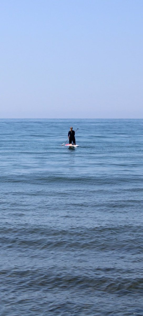 NFT.Adventures.2022 tweet media