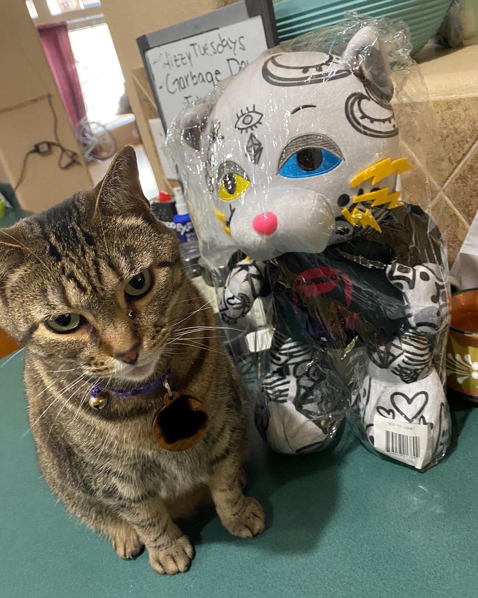 NFTJIT's tweet photo. #GANGGANG

S/O to @GutterCatGang  for the @Jugrnaut collab and this dope Gutter Cat Plush

Momo seems interested in it 🐱❤️ lol dont mind her mean face she hates posing 😹

#guttercatgang #GCG #nft #nftcommunity #nftcollectors #merch #utility #nftutility https://t.co/n12dELvZ3J
