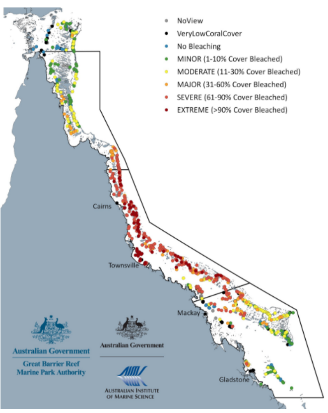 GreenCanaryPod's tweet photo. We said in this week's pod that a report has been withheld which would show the extent of 2022 Great Barrier Reef bleaching.

Well, it just dropped. Devastating. Click link for report &amp; subscribe to our newsletter for analysis. Hello@thegreencanary.co  https://t.co/BQcG630kvy https://t.co/rb9goHSe6g