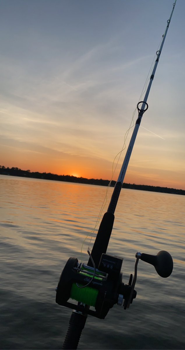 Roger Jackson tweet media