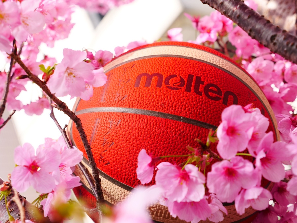 Technically it's spring time, but where we are it's snowing...
•⁠⠀⁠
•⁠⠀⁠
•⁠⠀⠀⁠
•⁠⠀⠀⁠
⁠⠀⠀⁠
#FIBA #fortherealgame #molten #basketball #sports #stayhoops #bball #ballislife⁠ #nba #stayhoopssocks #dunk #hoops #fitness