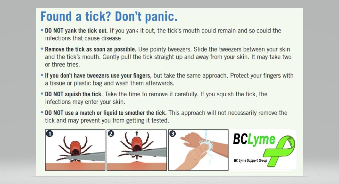 CityofDeltaBC's tweet photo. May is #LymeDiseaseAwareness Month & an opportunity to help spread awareness on how to prevent Lyme & tick-borne diseases. Learn what to do if you find a tick.
More info: https://t.co/j6M3QYvkCg
#BCLyme #TickRemoval #LymeDiseaseAwarenessMonth #DeltaBC #LightUpforLyme https://t.co/AmC7TvUGQR