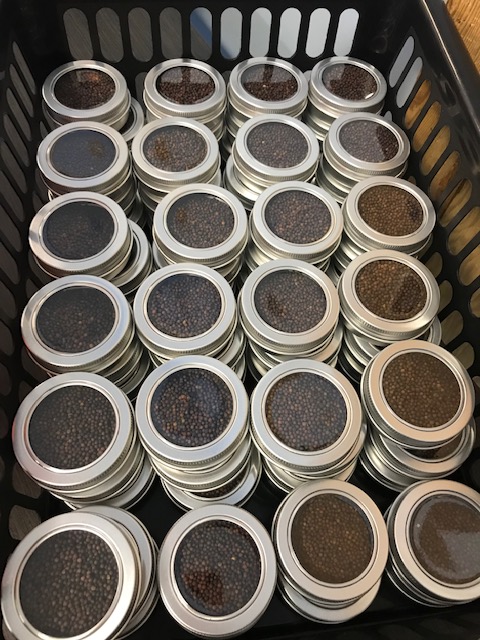 aitcmb's tweet photo. Thank you so much to our friends at Community Ambitions Day Service for their recent help packing seeds into tins for our #CALM22 #MBSeedKit! We're excited to work with them for round #2 of packing kits this Fall! ๐ฑ https://t.co/bvKFj6iBE8