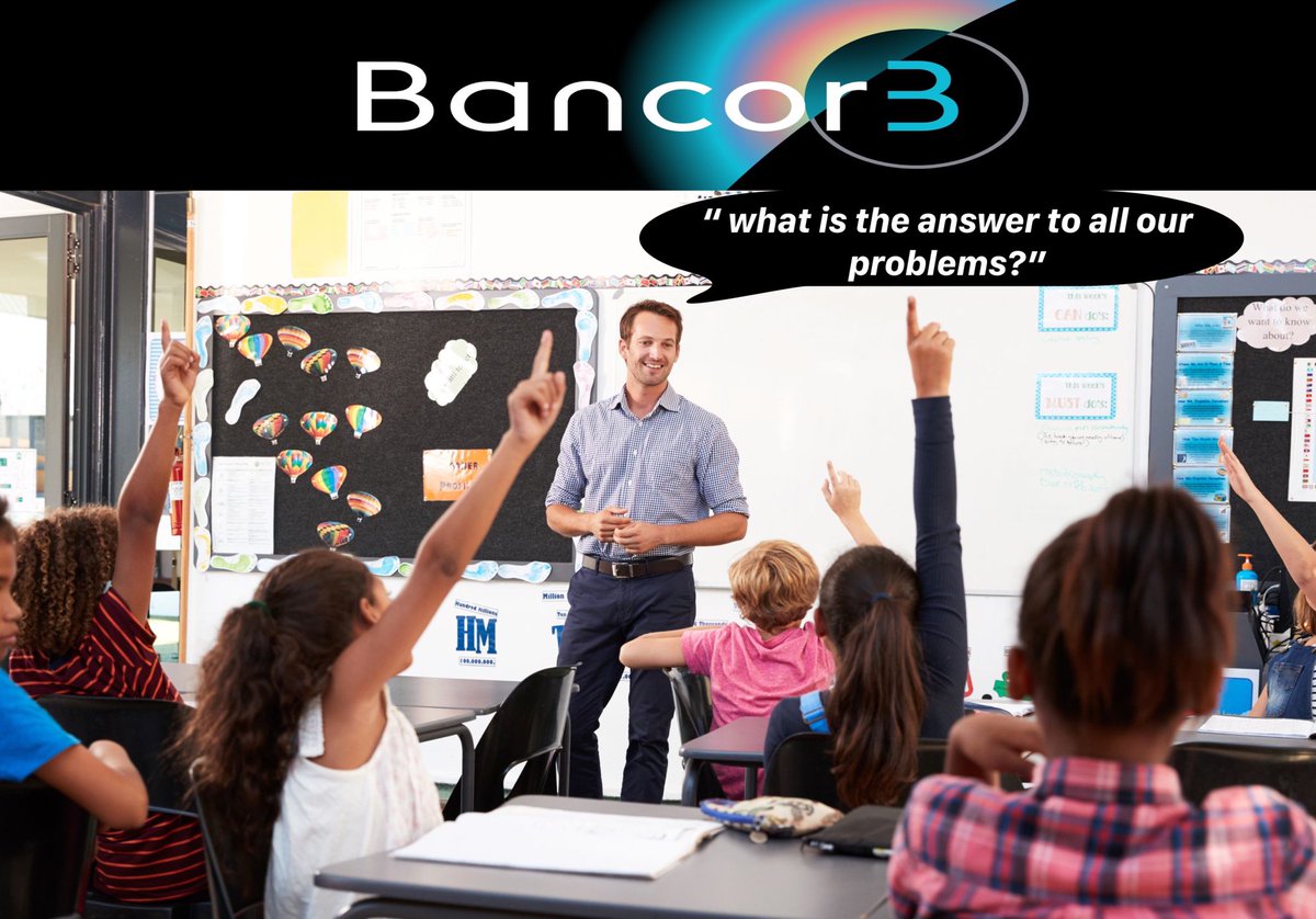 Mr Whale 🐳 tweet media