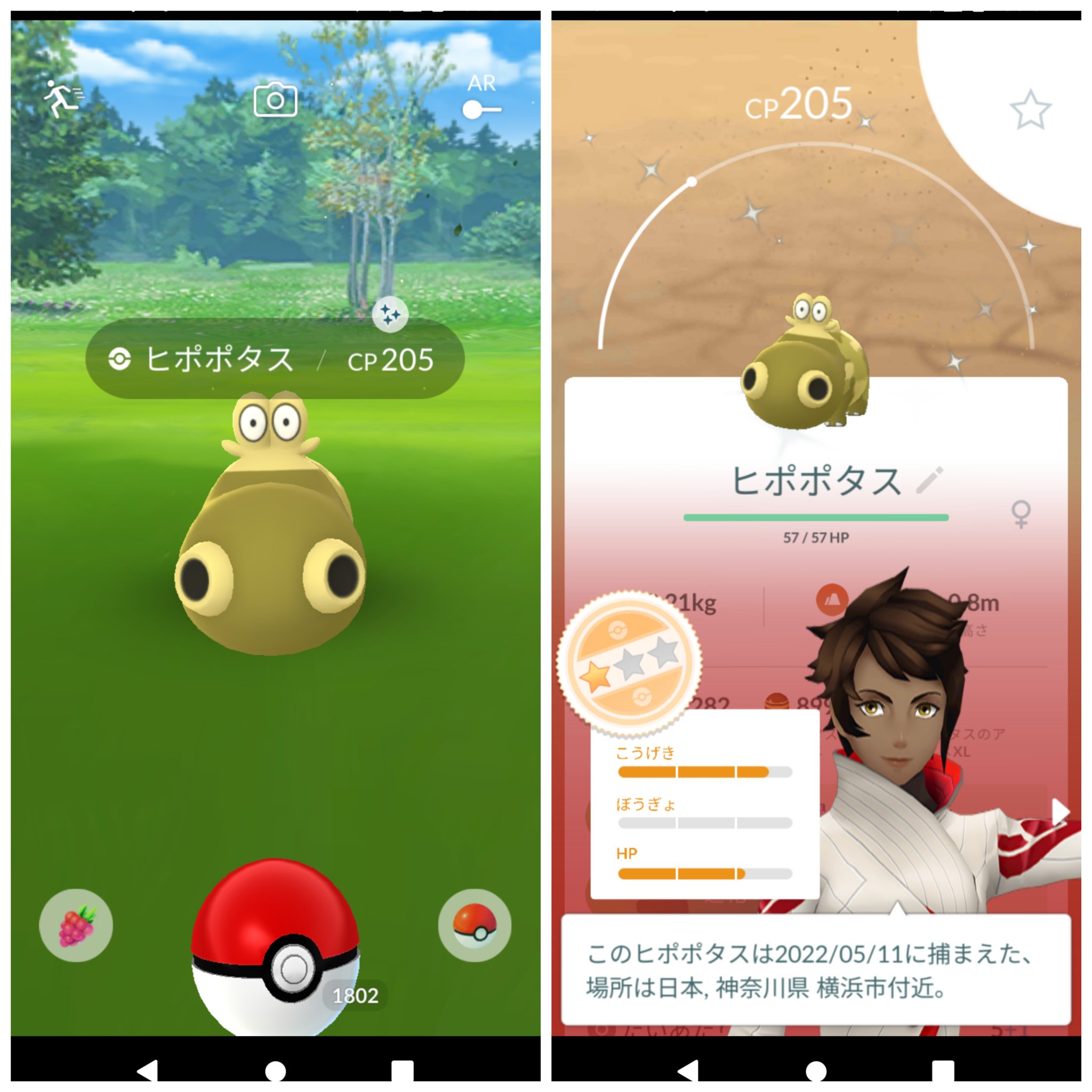 二の三 朝イチからヒポポタスの色違いｷﾀ ﾟ ﾟ コレまだゲットしていなかったのでラッキー ポケモンgo 色違い Pokemongo T Co Ntgl5tntgt Twitter