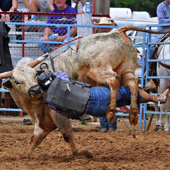 Are you ready for the "Greatest Show on Dirt" at the Limestone Sheriff's Rodeo? Plenty of rodeo action is expected to hit the dirt on May 20-21! For more info and tickets, go to: limestonesheriffrodeo.com
#visitnorthal #traveltuesday #limestonesheriffsrodeo
📸: <a href="/Athens_Tourism/">Athens & Limestone County AL Tourism</a>