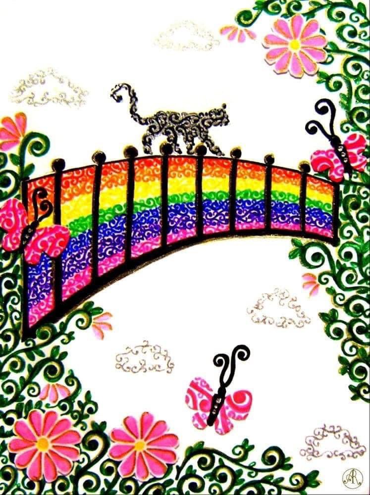 ReeveLucy's tweet photo. Hopefully I’ll dream about Lexi xxx 😻😻😻🐾🐾🐾💜💜💜 sweet dreams xxx #riplexi https://t.co/aRDckxvYgK