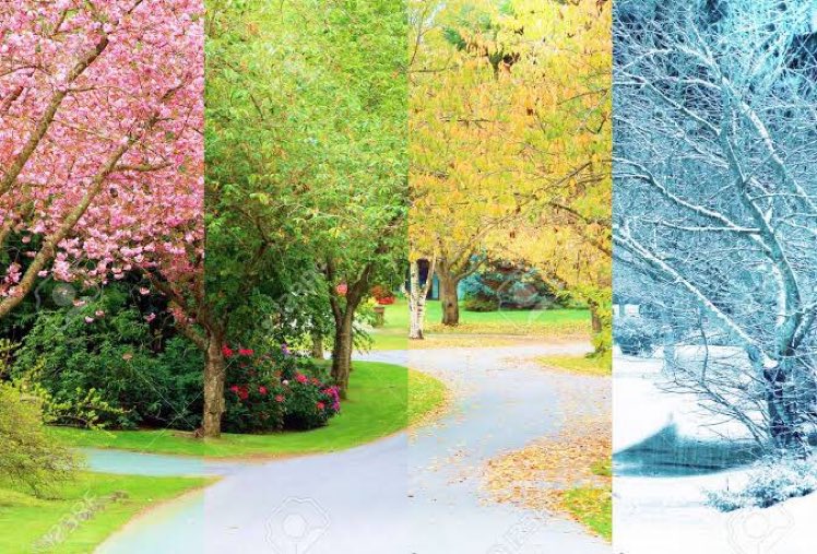 p25canada's tweet photo. spring,→ summer, →autumn,→ winter https://t.co/LXogmTbBaH