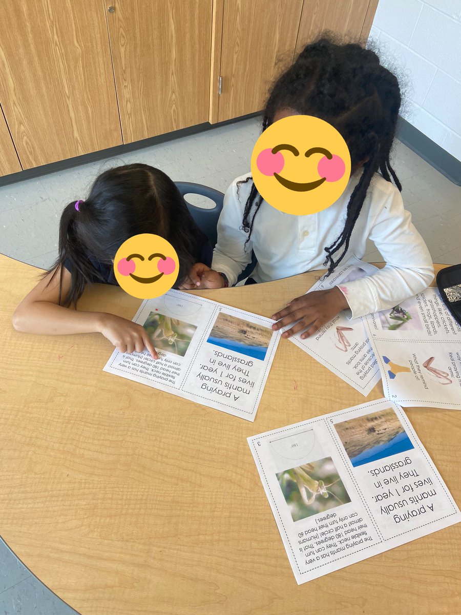 mllehogan's tweet photo. We have a delivery of praying mantis eggs coming soon! Ss were asked what they think we need to know about these creatures before welcoming them into our class. We’ve got a lot to learn! Let the research begin! https://t.co/NsSjts8r4m
