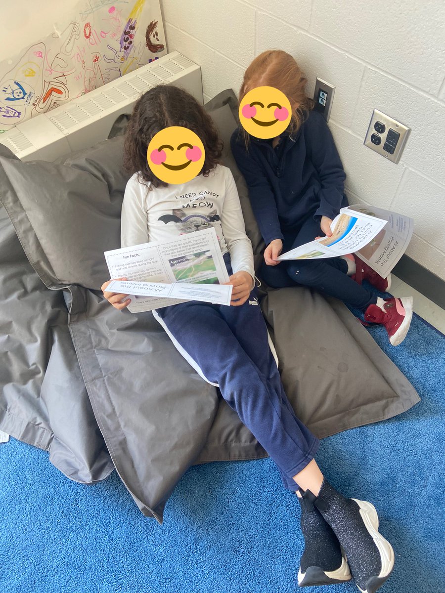 mllehogan's tweet photo. We have a delivery of praying mantis eggs coming soon! Ss were asked what they think we need to know about these creatures before welcoming them into our class. We’ve got a lot to learn! Let the research begin! https://t.co/NsSjts8r4m