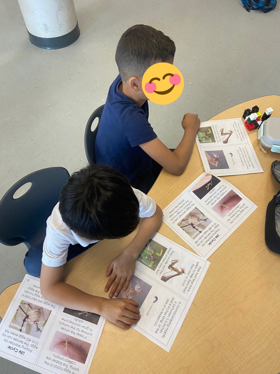 mllehogan's tweet photo. We have a delivery of praying mantis eggs coming soon! Ss were asked what they think we need to know about these creatures before welcoming them into our class. We’ve got a lot to learn! Let the research begin! https://t.co/NsSjts8r4m