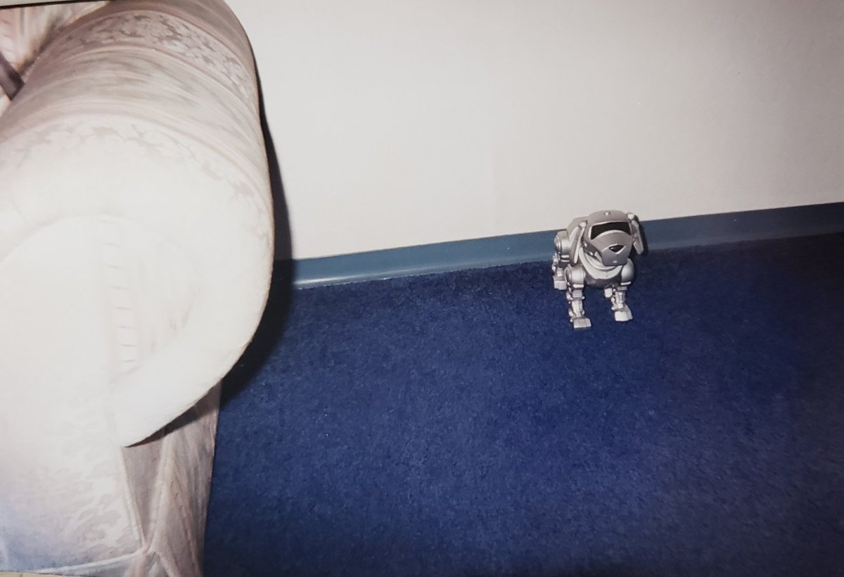 mmarianaxx's tweet photo. "Photography has always been my passion. I've always been a poet with my visuals, been about it ever since I was 6."
My photography when I was 6. https://t.co/dWXK2eYSrg