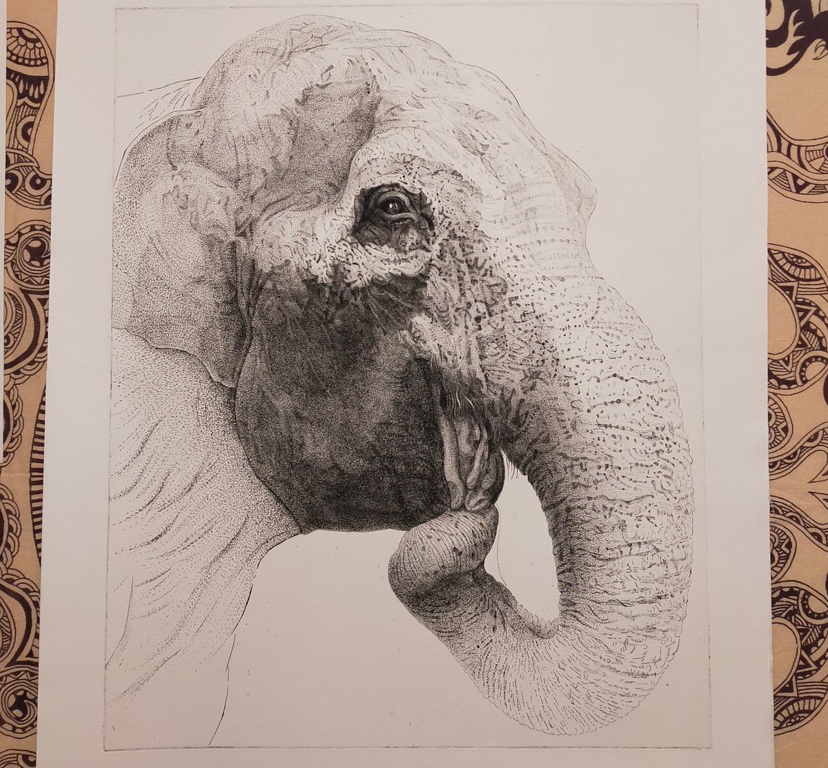 銅版画「solilogy Ⅱ」藤浪理恵子 大人気商品 sandorobotics.com