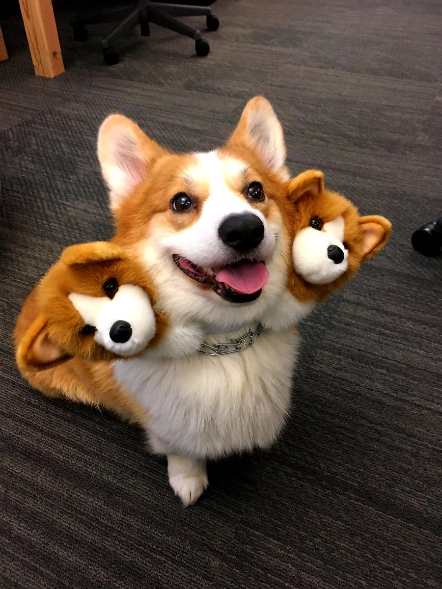 DndSesame's tweet photo. Tremble in fear https://t.co/O1ZIilY2db