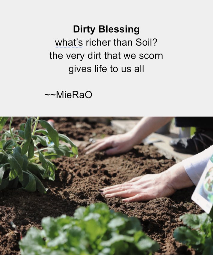 MirrorMiera's tweet photo. @radhejaggi Haiku for Soil 

#SaveSoil @SadhguruJV #COP15 https://t.co/FAZXMUmZlB