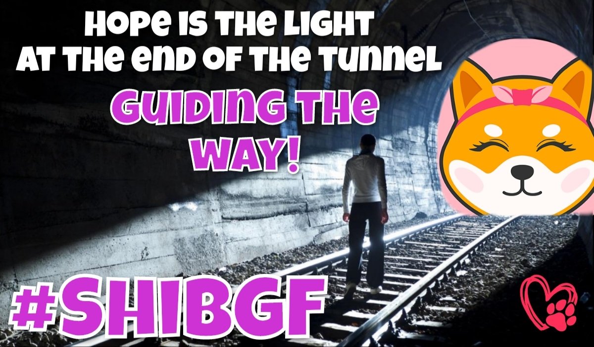 White Dogg tweet media