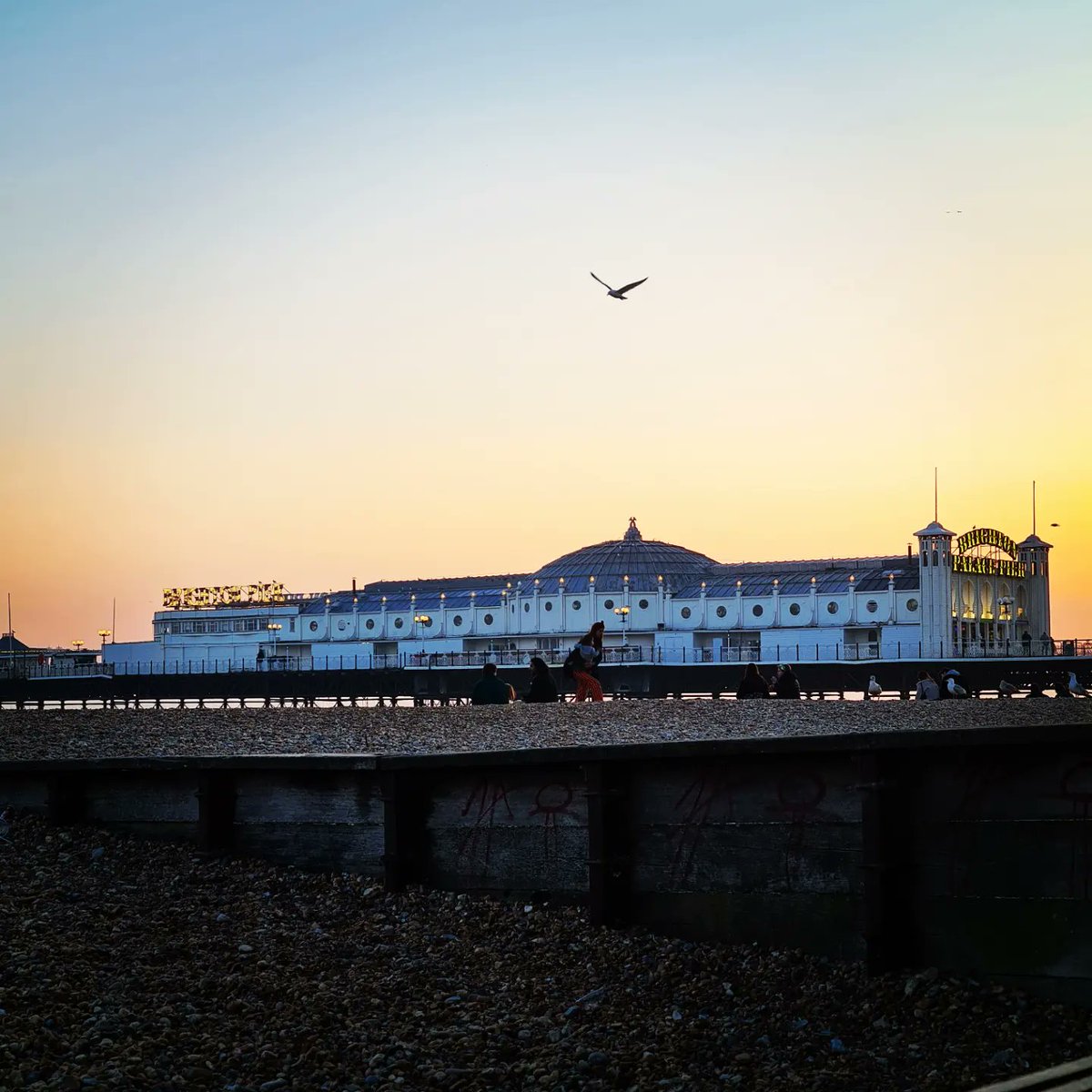 NiamhJayFilms's tweet photo. Overwhelmingly Gay and Chaotic (2022)

Week 1 filming in Brighton 

Please notice Arthur the bumblebee who kept me company in Producetion Corner 

#Documentary #DragQueens #Brighton #bees #Producer #student https://t.co/pgAANh6rIK